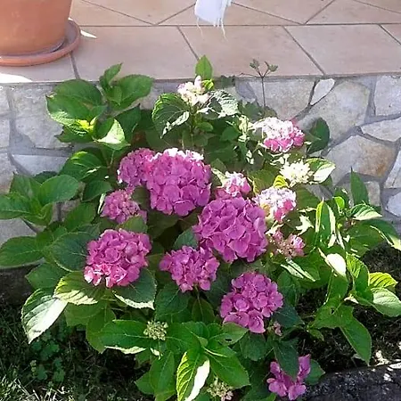 Rolu فندق مبيت وإفطار