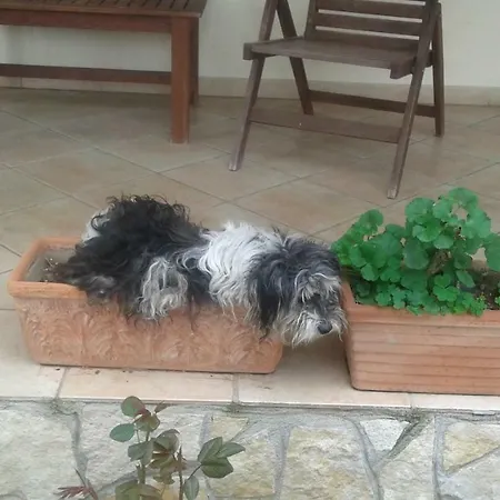 Couette-café Rolu 3*