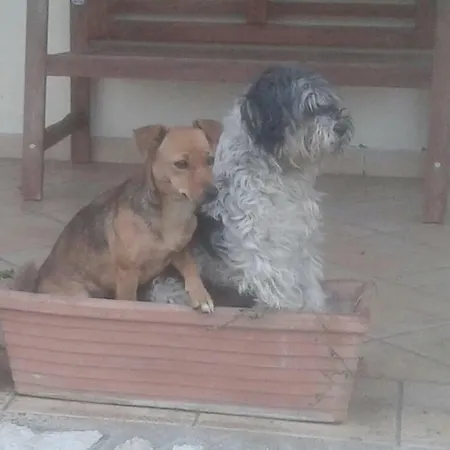 Rolu Bed & Breakfast