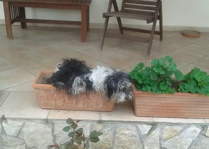 Bed & Breakfast Rolu 3*