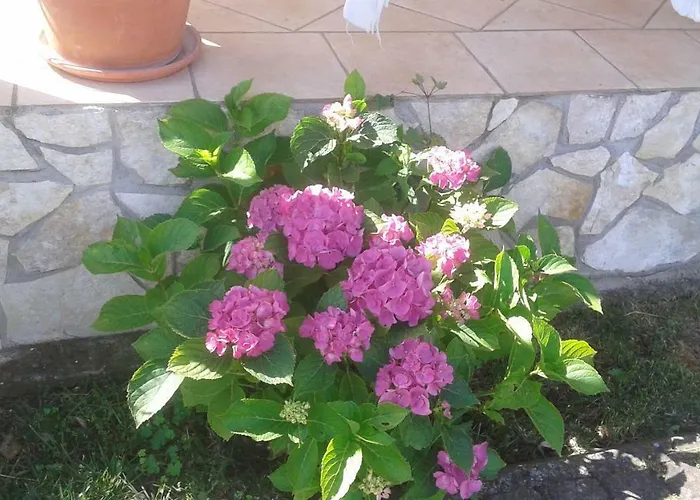 Bed & Breakfast Rolu