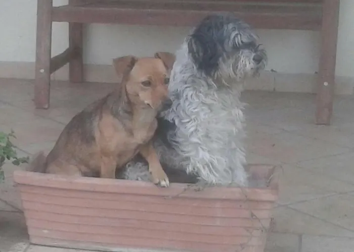 Rolu Bed & Breakfast